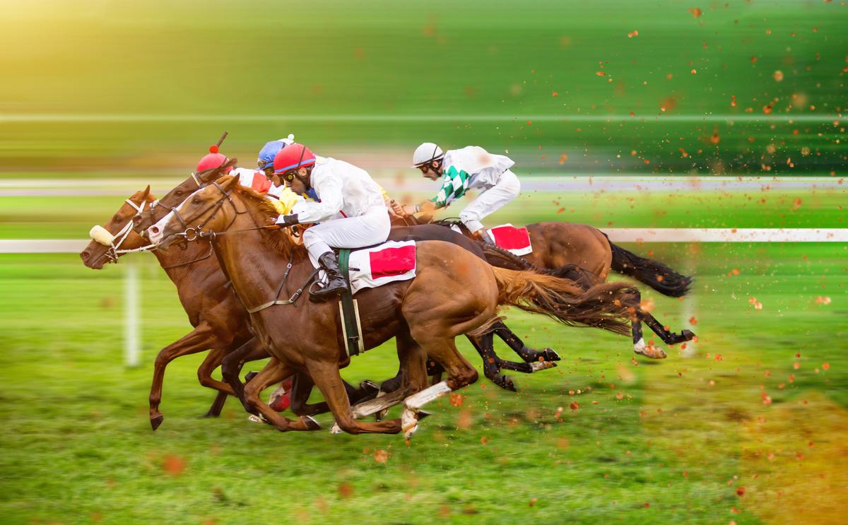 L'influence cruciale de la distance sur les courses hippiques